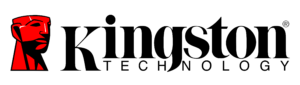logo kinstong